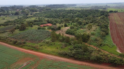 VENDO 40 HECTAREAS EN MINGA GUAZU   KM 28 ALTO PARANÁ