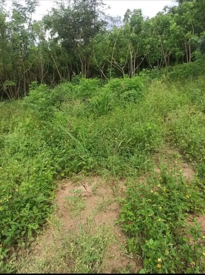 TERRENOS EN VENTA  En el Torno 10min del Puente 