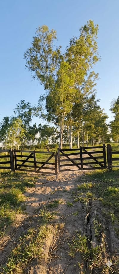 Se ofrece en venta importante propiedad rural de 288 hectáreas y 694 m²