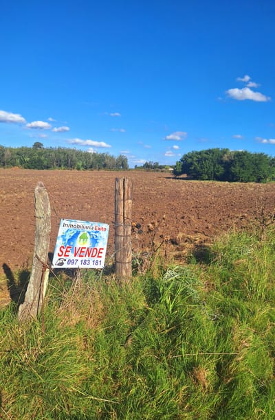 Vendo campo 7has en Canelón Chico Aguadas permanentes borde cañada