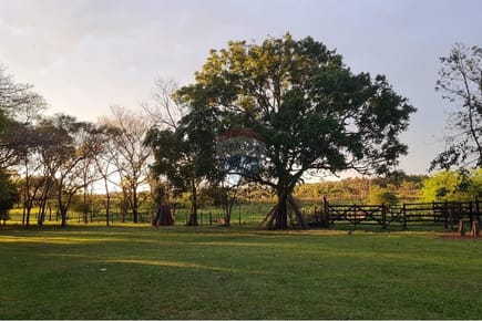 VENDO CAMPO EN SAN JAVIER MISIONES 35 HECTAREAS FERTILES