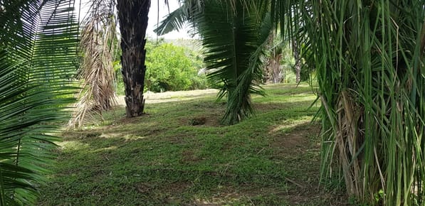 MAGNIFICO TERRENO EN BUENA ZONA EN TARAPOTO