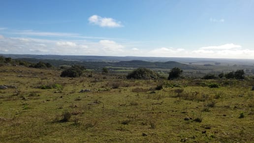 Hermoso Terreno a la Venta en Cerro Guazubirá con Vista Panorámica