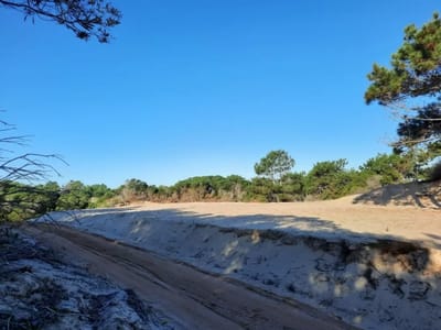 Terrenos a la Venta en La Esmeralda Rocha | 1.728m2 Financia Permuta