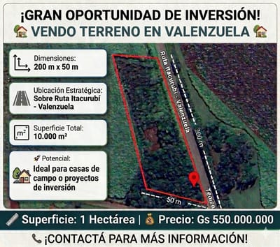 VENDO UNA HECTAREA SOBRE RUTA ITACURUBI - VALENZUELA