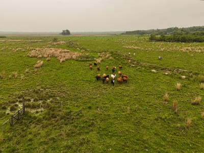 VENDO ESTANCIA CON 86 HECTAREAS EN CARAGUATAY