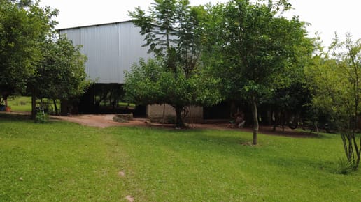 EN VENTA CAMPO DE 20 HECTAREAS EN CAAGUAZU  CON INFRAESTRUCTURA