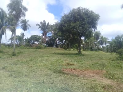 TERRENO EN VENTA DE 11 Has EN EL URUBO