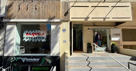 Alquiler Local Comercial En Punta Carretas
