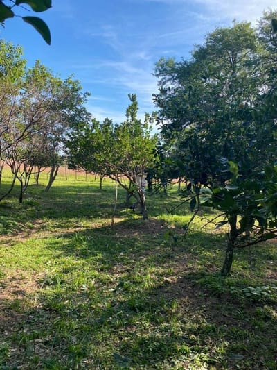 VENDO 110 HCTAS SOBRE RUTA ACAHAY