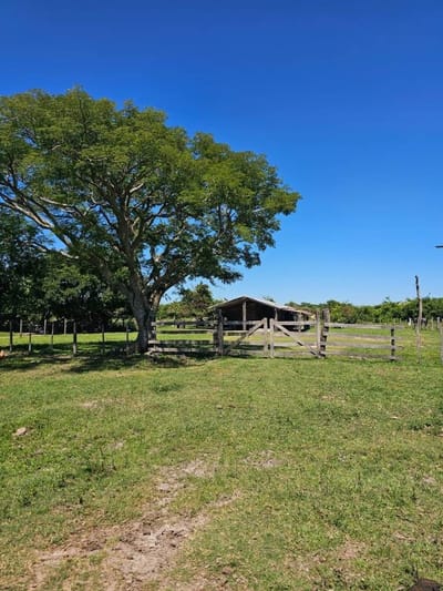 VENDO ESTANCIA EN PILAR.