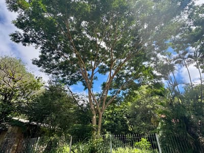 VENDO TERRENO DE 1053 M2 EN MARIANO ROQUE ALONSO
