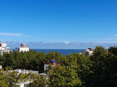 Exclusivo Monoambiente Penthouse en Parque Rodó: Terraza Panorámica, Parrillero Privado y Opción a Garage