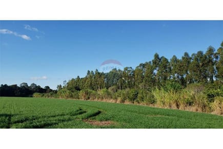 VENDO CAMPO ZONA CAMBYRETA CENTRO