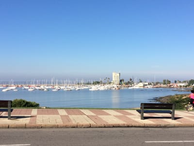 Impecable Monoambiente En Puerto Del Buceo