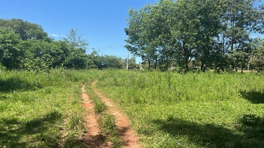 VENDO ESTANCIA EN CAAGUAZU