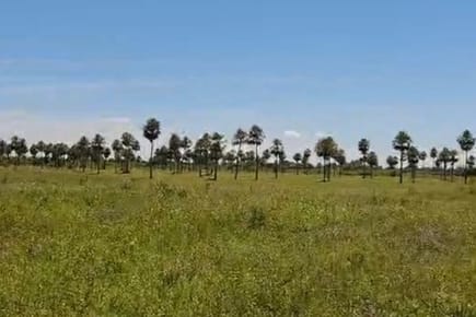 VENDO TERRENO EN CHACOI VILLA HAYES