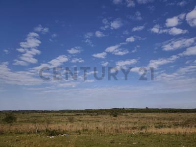 Vendo 46 Hectareas para desarrollo o produccion en San Juan Bautista-Misiones