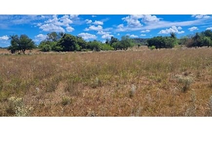 Terrenos en Venta en Ubicación Estratégica  Pirayú