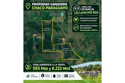 OPORTUNIDAD DE INVERSIÓN GANADERA | POZO COLORADO