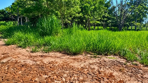 Vendo Terreno en Salto del Guairá | 360 m² | Gs. 195 Millones