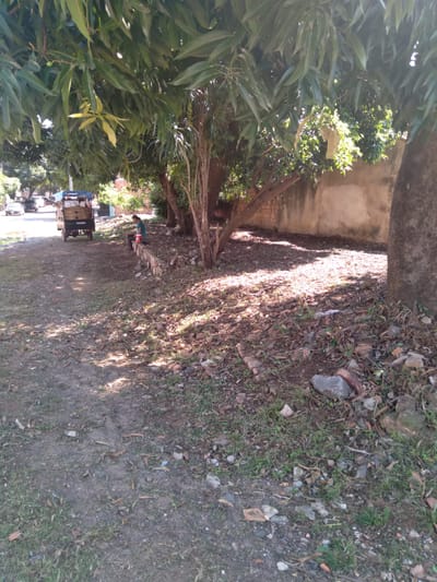 VENDO TERRENO EN BARRIO JARA