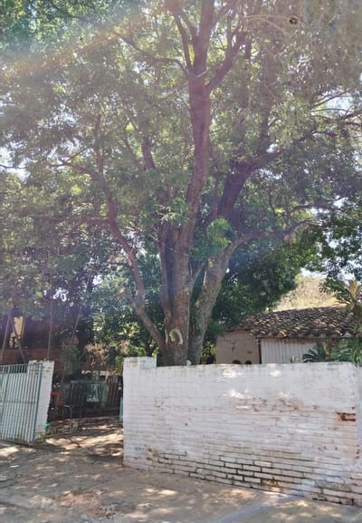 Terreno con casa a demoler