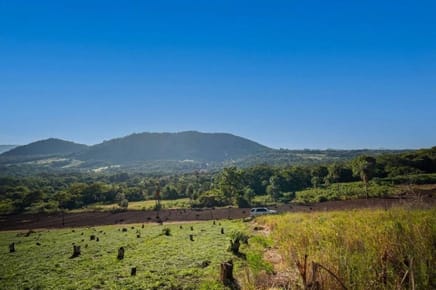 VENDO 20 HECTÁREAS EN CERRO CORA - SAPUCAI