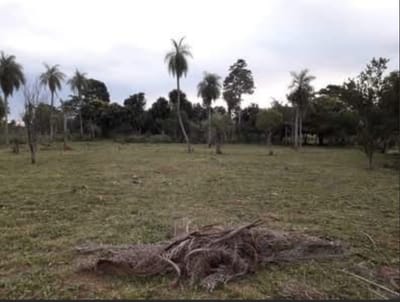 Terreno de 5.161 m² sobre Ruta Itá–Itauguá