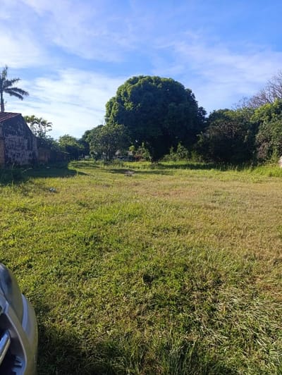 Vnedo terreno en ybycui 