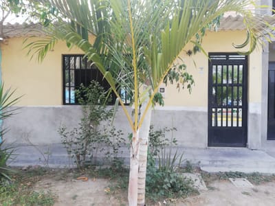 VENDO CASA EN TAMBOGRANDE