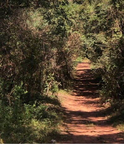 Tu refugio en la naturaleza te está esperando – ISLA VALLE, AREGUÁ