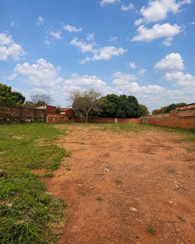 4 Terrenos juntos en Lambaré