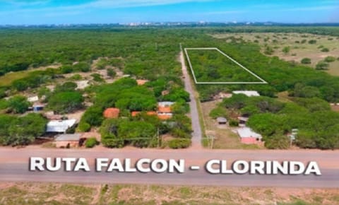 Vendo 1 Hectarea - En la ciudad de Jose Flacon.. ID 45683