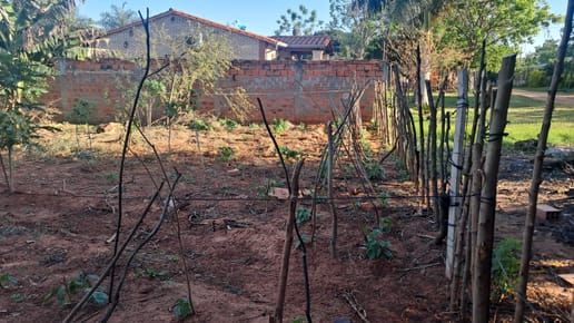 Vendo terreno en Capiatá J augusto Saldivar 