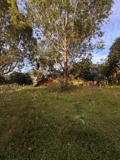VENDO Terreno 8.5 hectareas ruta PY01 - Yaguaron