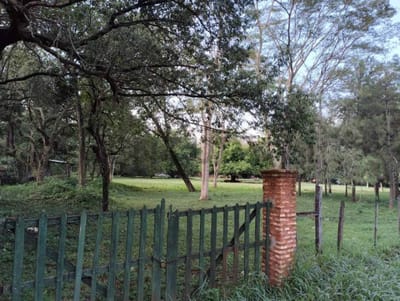 Terreno De 1,2 Ha En Luque (12.400 M²)