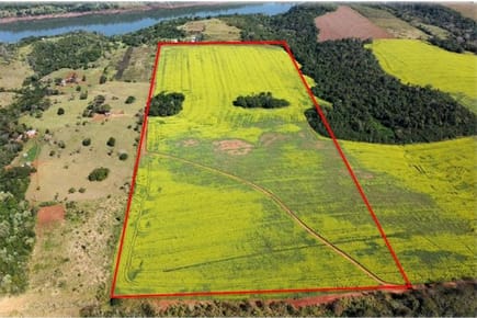 Vendo Imponente Terreno en Presidente Franco, Paraguay