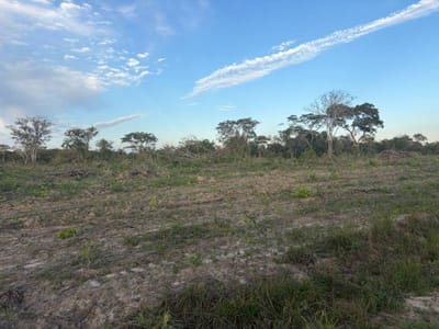 TERRENO RUSTICO EN VENTA 