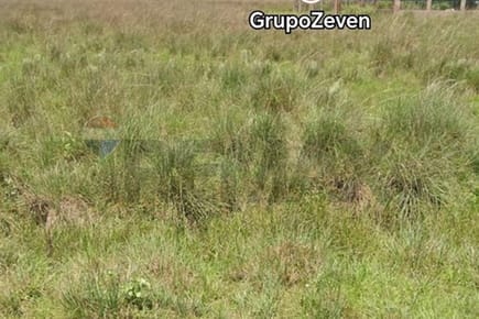 TERRENO RESIDENCIAL EN NUEVA COLOMBIA