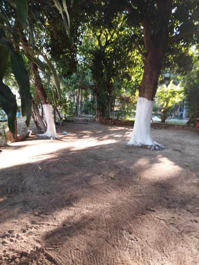 SAN BERNARDINO - ZONA ANFITEATRO EN VENTA TERRENOS DE 732 M2 