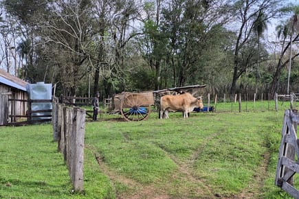 Granja Agrícola-Venta- Albadón, Caazapá, Caazapá