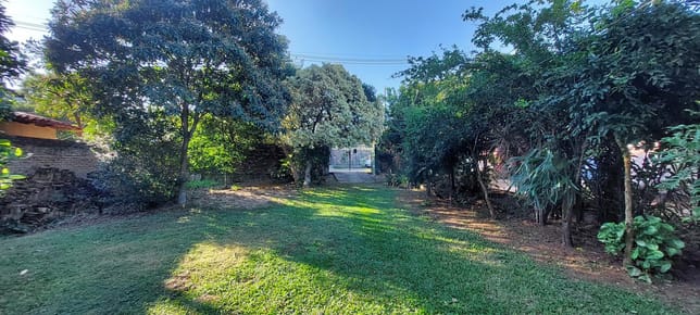 Vendo Terreno En Lambare 516m2 Con Casa A Demol