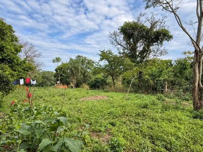 VENDO TERRENO EN TARUMANDY LUQUE