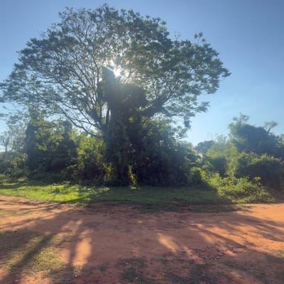 VENDO TERRENO EN ESQUINA – LOMA MERLO, LUQUE