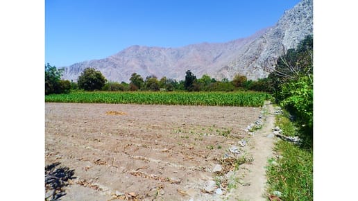 PRECIOSO TERRENO PLANO DE 5,377 M2  LUNAHUANA 