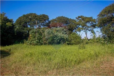 TERRENO-VENTA-YPANE