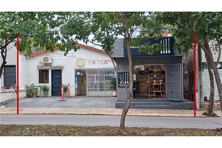 TERRENO SOBRE AV. SAN MARTIN