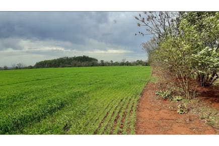 Venta de CAMPO AGRÍCOLA, CAPITÁN MIRANDA, ITAPÚA