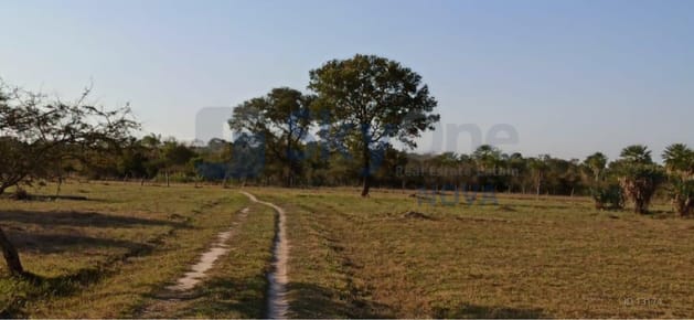 En Venta Propiedad de 79,789 Hectáreas en Concepción - LORETO